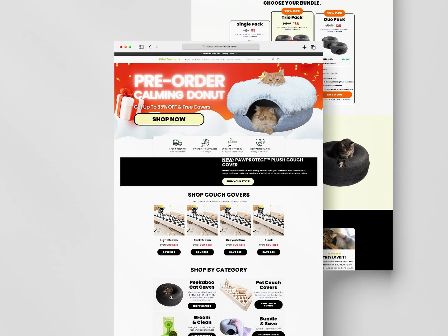 Cattasaurus web development mockup template